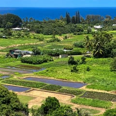 Wailea Oasis
