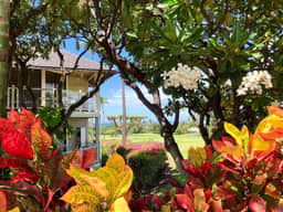 Wailea Oasis - Image 4