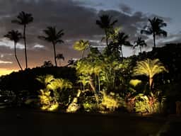 Wailea Oasis - Image 3