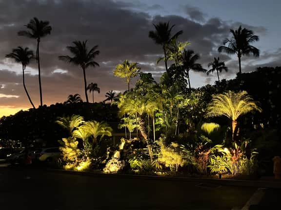 Wailea Oasis - Image 3